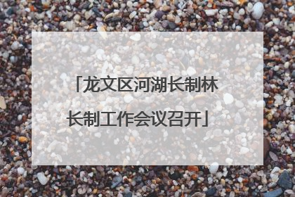 龙文区河湖长制林长制工作会议召开