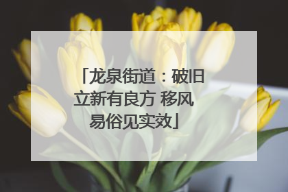 龙泉街道：破旧立新有良方 移风易俗见实效