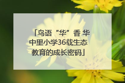 鸟语“华”香 华中里小学36载生态教育的成长密码