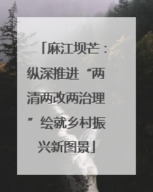 麻江坝芒：纵深推进“两清两改两治理”绘就乡村振兴新图景