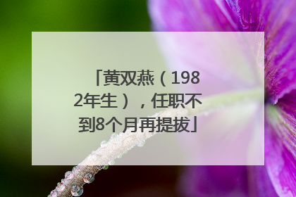 黄双燕（1982年生），任职不到8个月再提拔