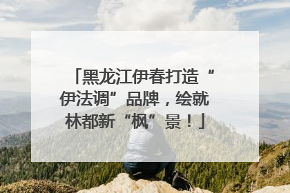 黑龙江伊春打造“伊法调”品牌，绘就林都新“枫”景！