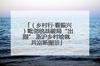 （乡村行·看振兴）毗邻统战破局“出圈” 浙沪乡村绘就共富新图景