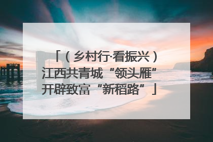 （乡村行·看振兴）江西共青城“领头雁”开辟致富“新稻路”