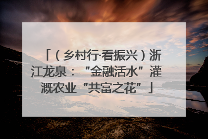（乡村行·看振兴）浙江龙泉：“金融活水”灌溉农业“共富之花”