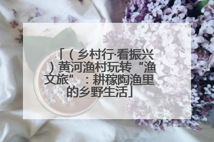 （乡村行·看振兴）黄河渔村玩转“渔文旅”：耕稼陶渔里的乡野生活