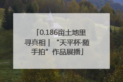 0.186亩土地里寻真相｜“天平杯·随手拍”作品展播