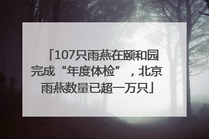 107只雨燕在颐和园完成“年度体检”，北京雨燕数量已超一万只