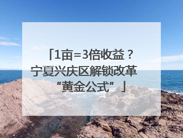 1亩=3倍收益？宁夏兴庆区解锁改革“黄金公式”