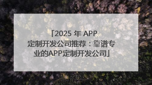 2025 年 APP 定制开发公司推荐：靠谱专业的APP定制开发公司