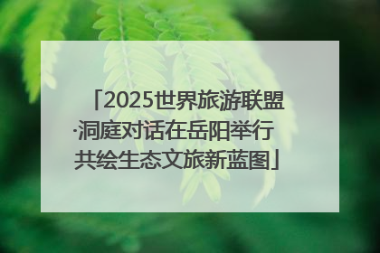 2025世界旅游联盟·洞庭对话在岳阳举行 共绘生态文旅新蓝图