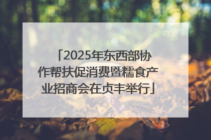 2025年东西部协作帮扶促消费暨糯食产业招商会在贞丰举行