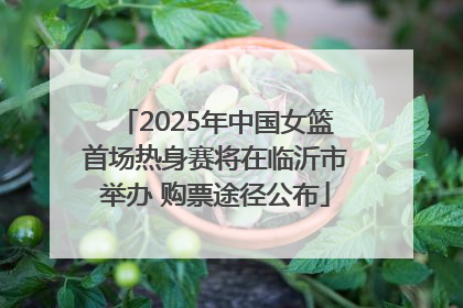 2025年中国女篮首场热身赛将在临沂市举办 购票途径公布
