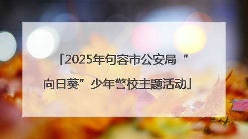 2025年句容市公安局“向日葵”少年警校主题活动