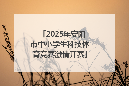 2025年安阳市中小学生科技体育竞赛激情开赛