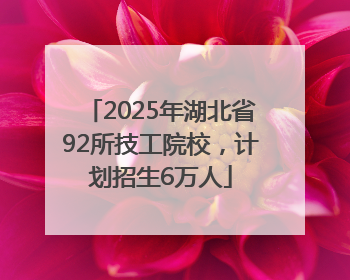2025年湖北省92所技工院校，计划招生6万人