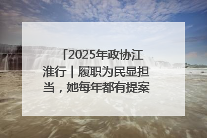 2025年政协江淮行｜履职为民显担当，她每年都有提案被评为“优秀”