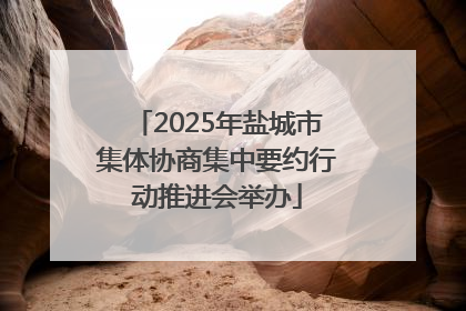 2025年盐城市集体协商集中要约行动推进会举办