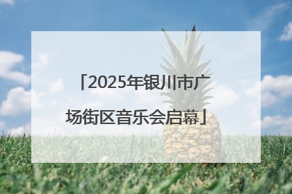 2025年银川市广场街区音乐会启幕