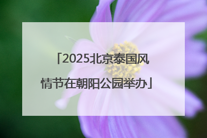 2025北京泰国风情节在朝阳公园举办