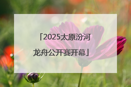 2025太原汾河龙舟公开赛开幕