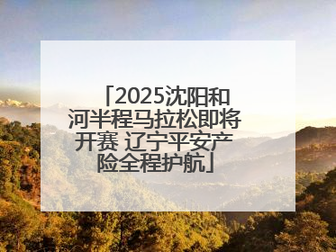 2025沈阳和河半程马拉松即将开赛 辽宁平安产险全程护航