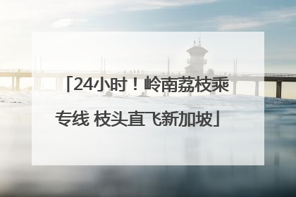 24小时！岭南荔枝乘专线 枝头直飞新加坡