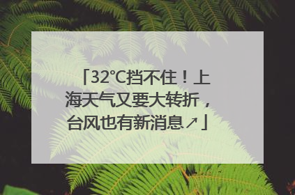 32℃挡不住！上海天气又要大转折，台风也有新消息↗