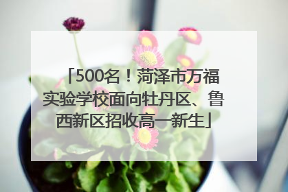 500名！菏泽市万福实验学校面向牡丹区、鲁西新区招收高一新生