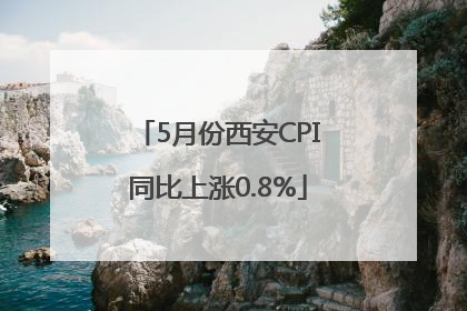 5月份西安CPI同比上涨0.8%