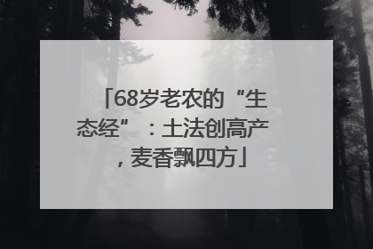 68岁老农的“生态经”：土法创高产，麦香飘四方