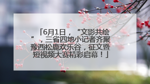 6月1日，“文影共绘”，三省四地小记者齐聚豫西松鹿欢乐谷，征文暨短视频大赛精彩启幕！