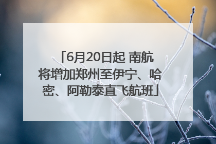 6月20日起 南航将增加郑州至伊宁、哈密、阿勒泰直飞航班