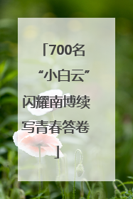 700名“小白云”闪耀南博续写青春答卷
