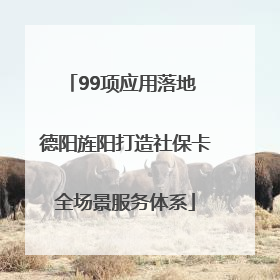 99项应用落地 德阳旌阳打造社保卡全场景服务体系