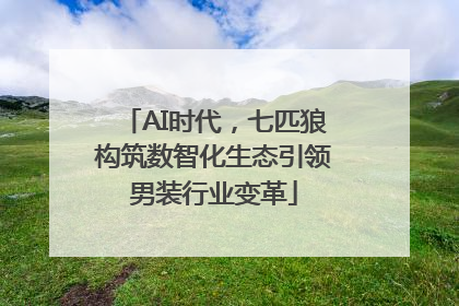 AI时代，七匹狼构筑数智化生态引领男装行业变革