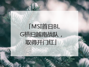 MSI首日BLG横扫越南战队，取得开门红