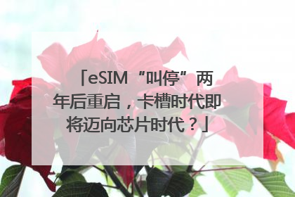 eSIM“叫停”两年后重启，卡槽时代即将迈向芯片时代？